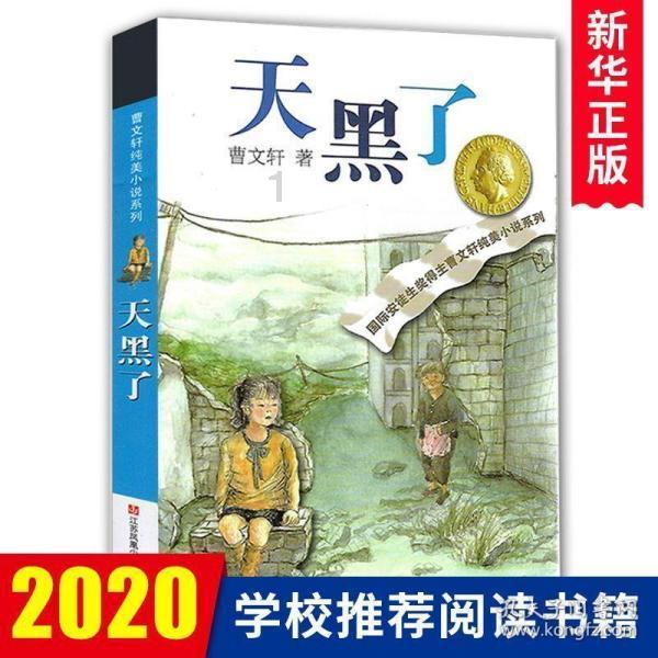 速腾豪华版顶上是真皮的吗?游戏画面