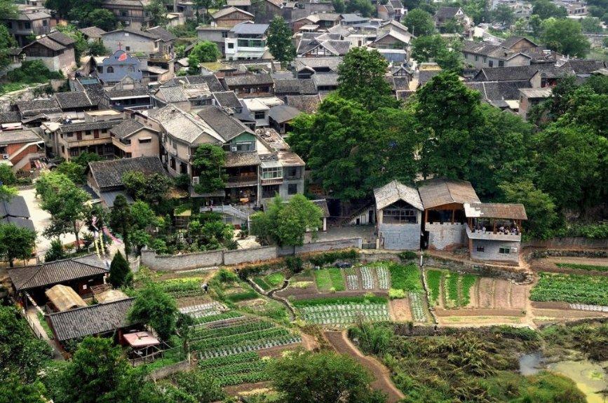 细胞分裂6